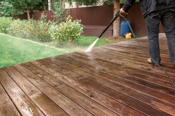 Best Roof Cleaning and Mildew Removal in Palmhurst, TX