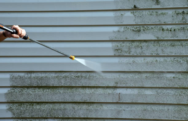 Reliable Palmhurst, TX Pressure Washing Services Solutions