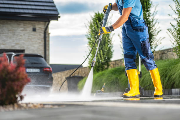 Best Driveway Cleaning and Restoration in Palmhurst, TX